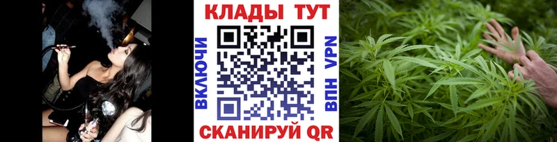 Где купить наркоту Вологда Гашиш  mega рабочий сайт  Псилоцибиновые грибы  Марихуана  Кокаин  Меф  Альфа ПВП 