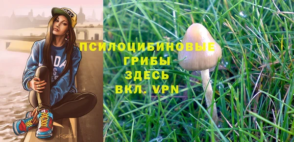 синтетический гашиш Каменка