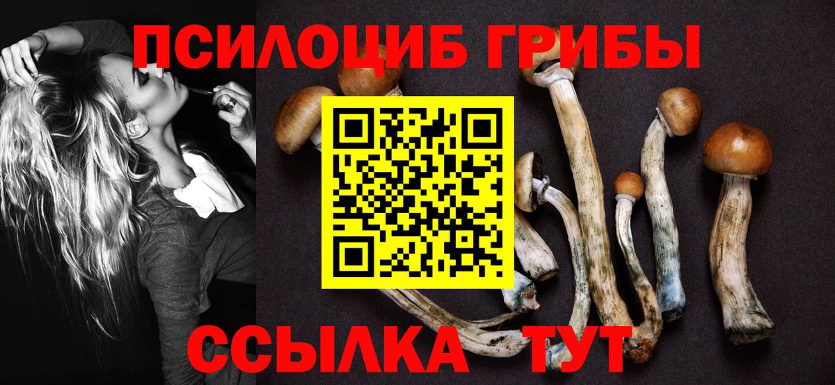 Галлюциногенные грибы MAGIC MUSHROOMS Вологда