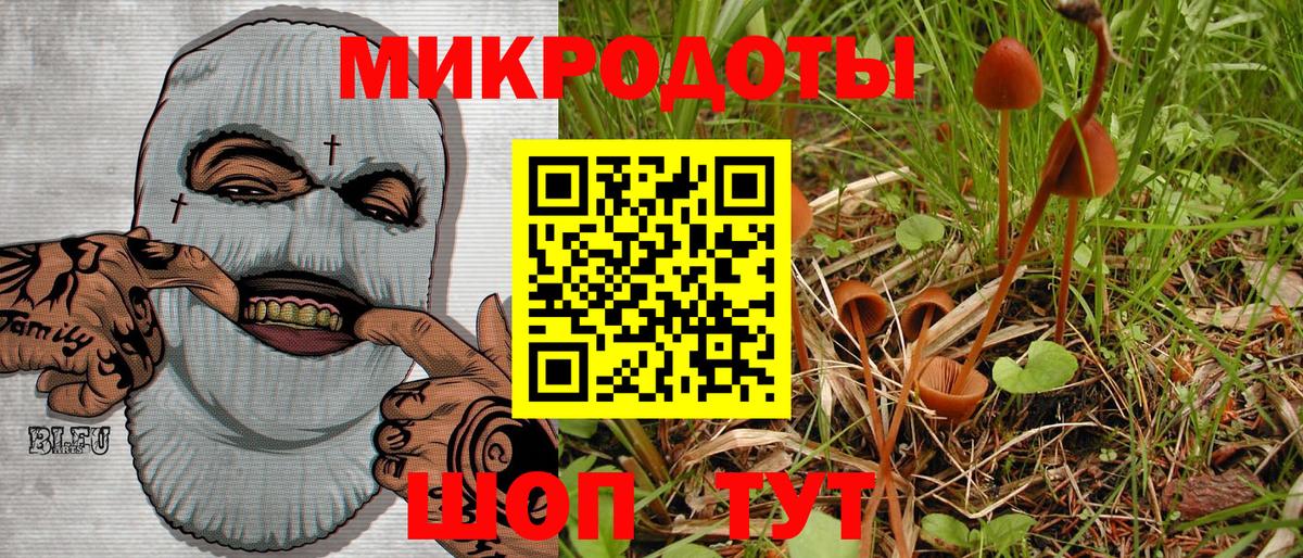 Псилоцибиновые грибы мухоморы Вологда