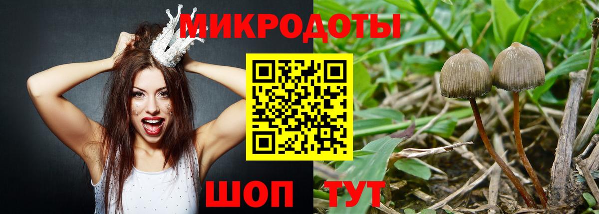 Вологда  Псилоцибиновые грибы MAGIC MUSHROOMS  Галлюциногенные грибы MAGIC MUSHROOMS  Вход с VPN 