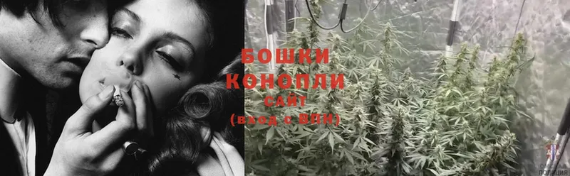 где купить наркоту  omg ССЫЛКА  МАРИХУАНА OG Kush  Вологда 