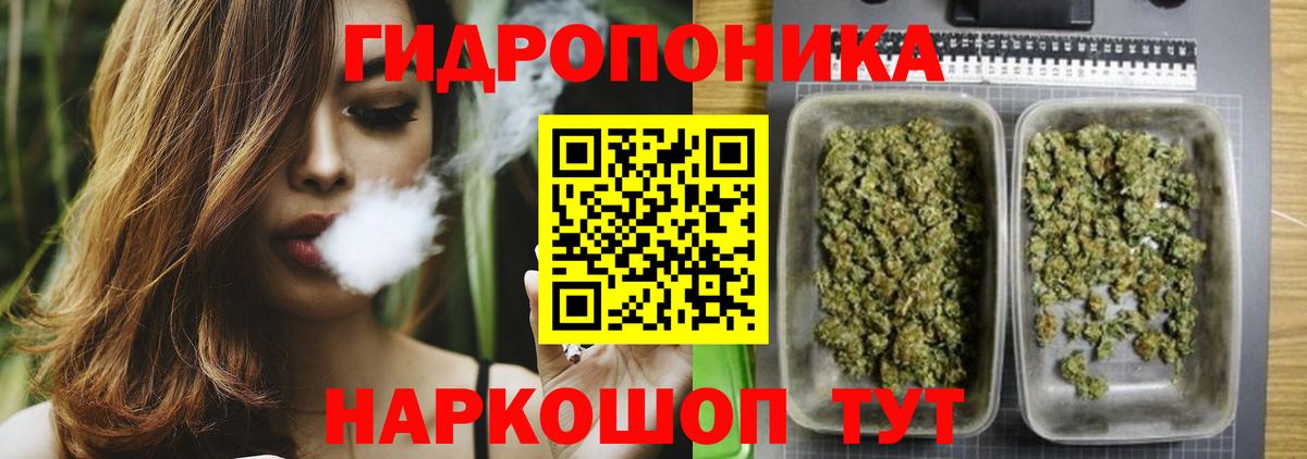 Марихуана семена  Канабис конопля  Вологда 